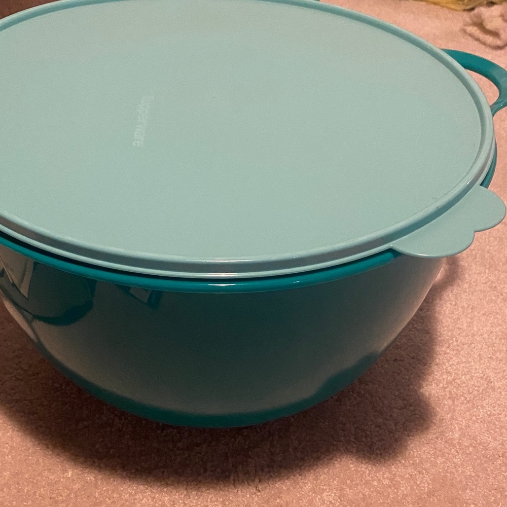 Tupperware Thasta Bowl with butterfly Lid